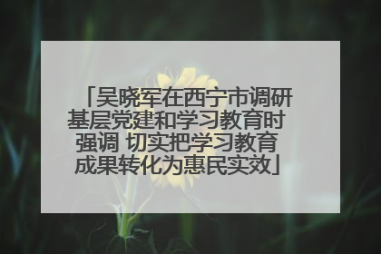 吴晓军在西宁市调研基层党建和学习教育时强调 切实把学习教育成果转化为惠民实效